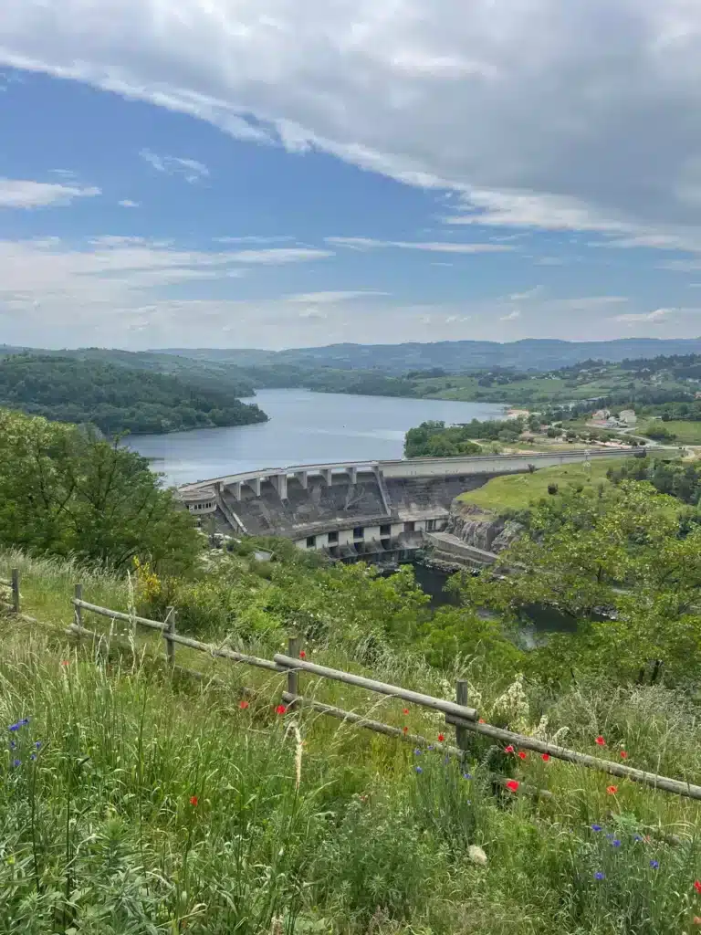 barrage sur le rhone paysage verdoyant avec fleurs sauvages