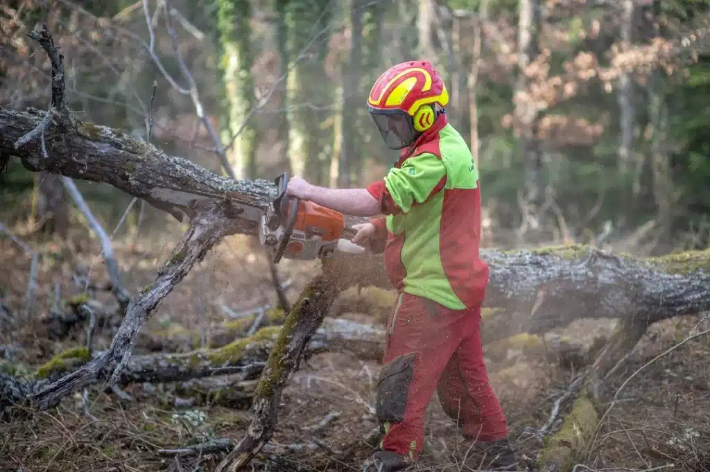 eleve en bac pro foret a la mfr de lamure sur azergues utili