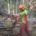 Seconde Pro NJPF