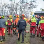 Bac pro Forêt