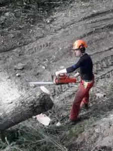 mfr des 4 vallees lamure sur azergues chantier d exploitatio