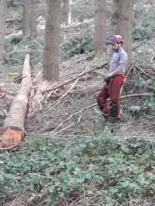 mfr des 4 vallees lamure sur rhone chantier d exploitation f