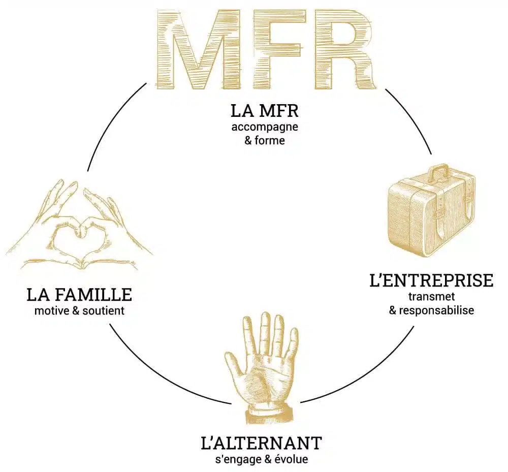 mfr famille entreprise alternant un cycle de formation et d