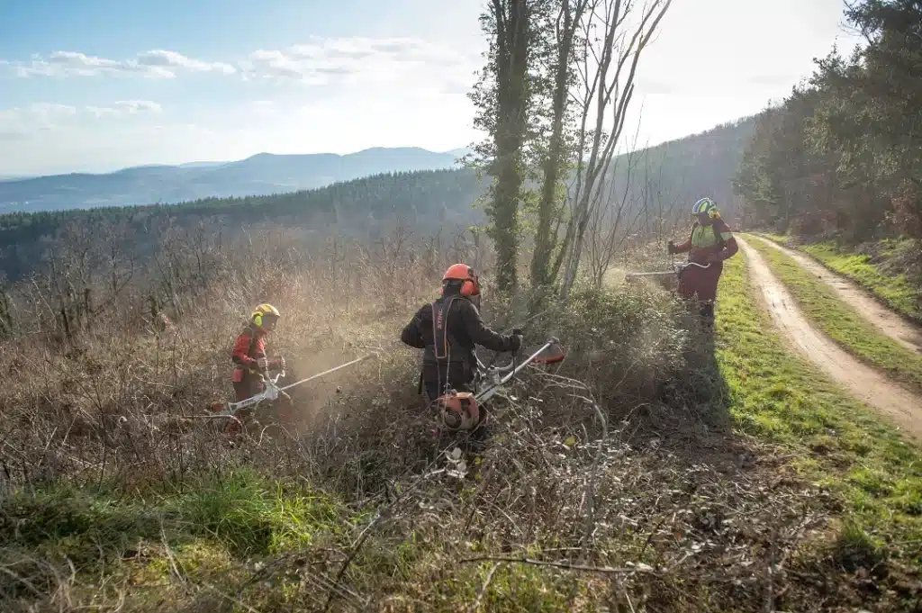 trois personnes equipees pour debroussailler en foret mfr rh
